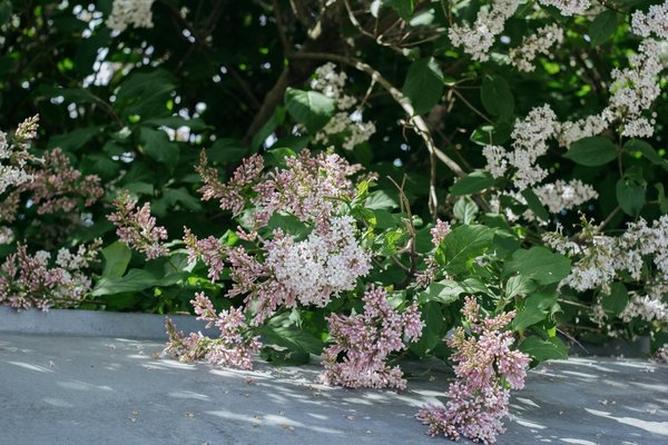 What are some cost-effective ways to upgrade my bathroom?