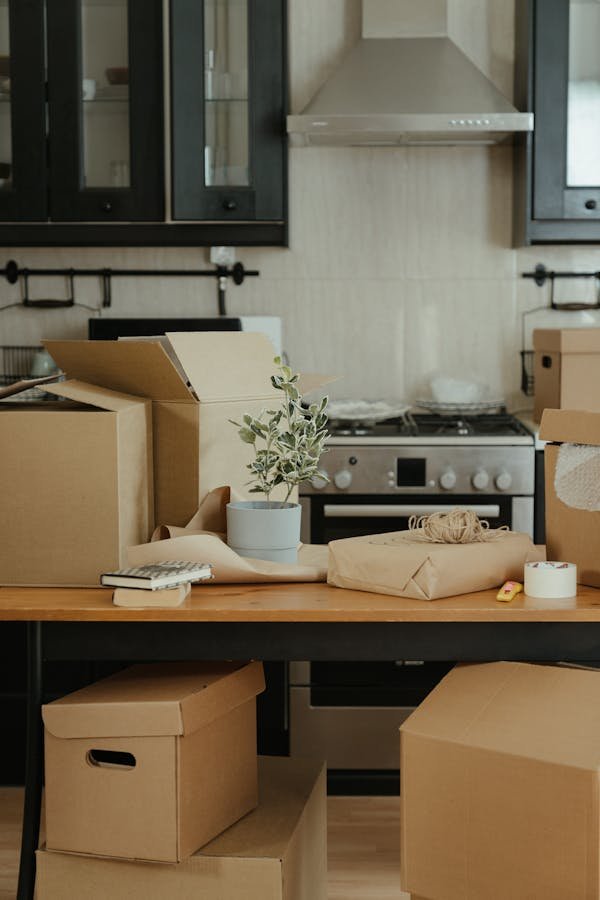 Essential tips for alleviating stress during your move